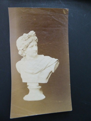C1860s statua busto apollo - statua,