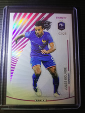 25-26 panini Eternity Bleus