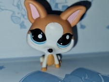 Littlest Pet Shop #2072 White