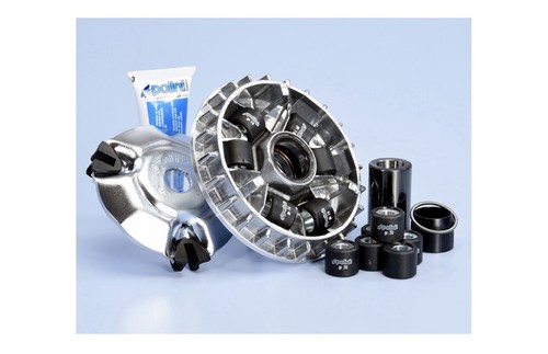 241 645 variatore polini - 241.645,