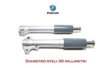 Coppia steli forcella foderi