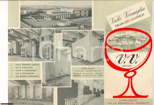 1958 frascati azienda - 1958, (rm)
