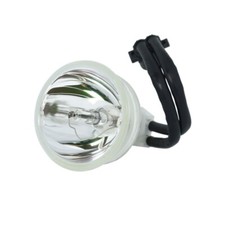 Compatibile con lampadine