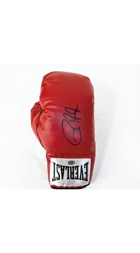 Guantone boxe firmato - guantone, roy