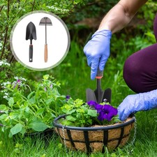  Aratro Mano Estirpatore