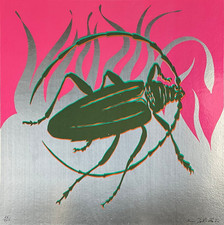 GINO MAROTTA (Campobasso 1935 - Roma 2012) OPERA SERIGRAFIA su Cartoncino FIRMA