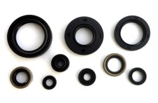 Kit anelli di tenuta motore