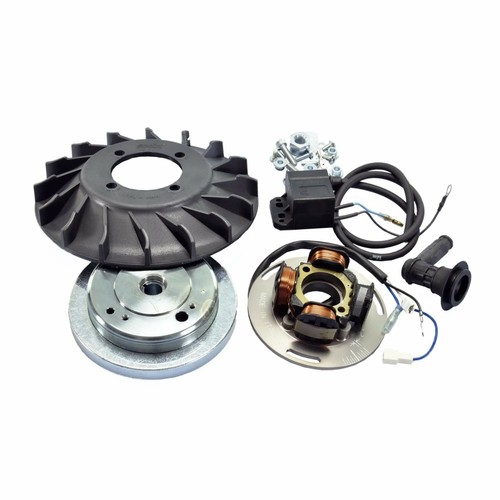 Accensione polini 12v piaggio - accensione,