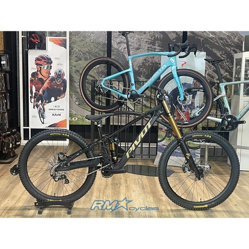 Pivot phoenix saint pro - pivot, s2
