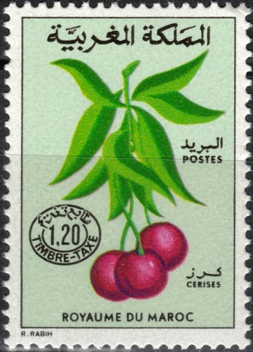 Marocco 1984 - marocco,