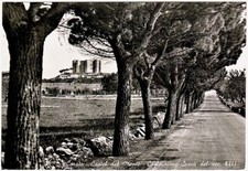 Corato Bari - Castel del monte