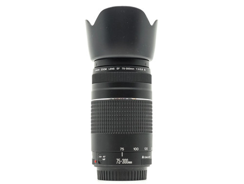 Canon 300mm 5 - ef, f/4-5.6