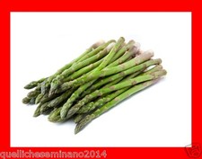 100 SEMI DI Asparagi
