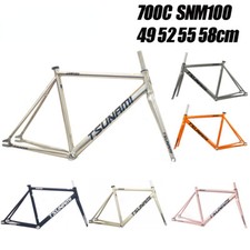 Telaio Bici Ingranaggio Fisso