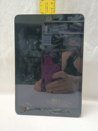 Apple ipad mini - apple,