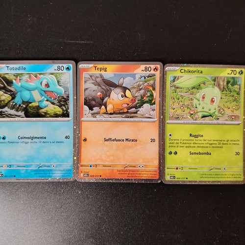 Pokemon lotto tepig chikorita - pokemon,