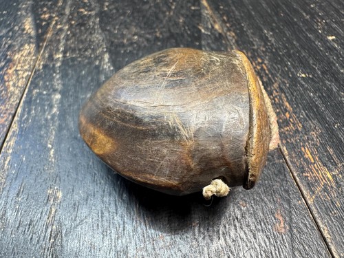 Scatola contenitore corno