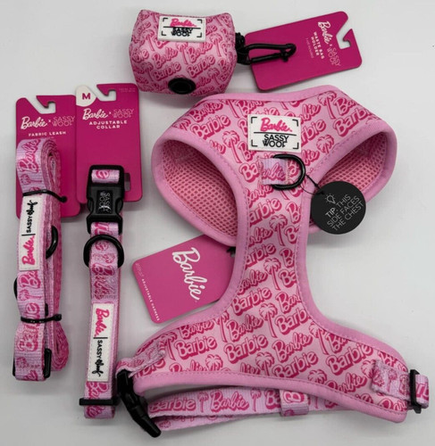 Set pezzi barbie - barbie, sassy