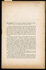 Estratto dall'Archivio