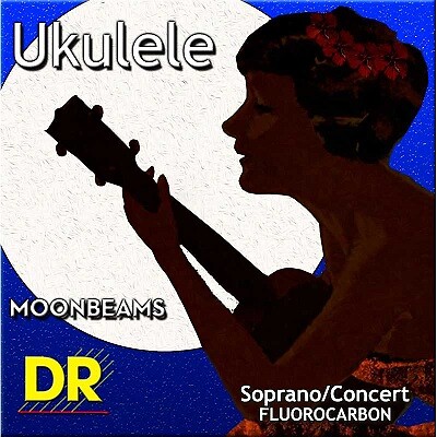 Ufsc ukulele soprano - dr,