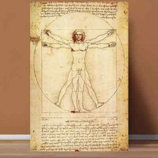 Leonardo da Vinci Vitruvian