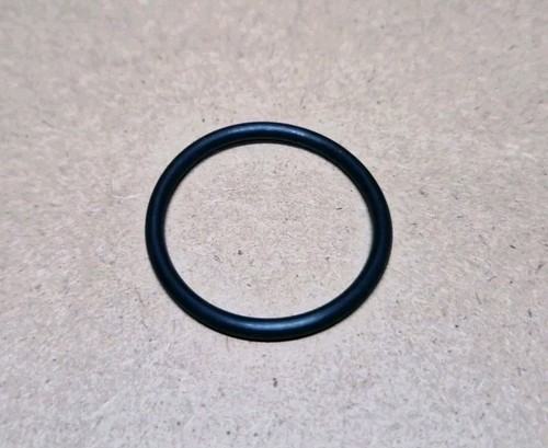 Guarnizione ring infusore - guarnizione,