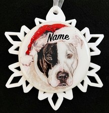 Babbo Natale Pit Bull Terrier