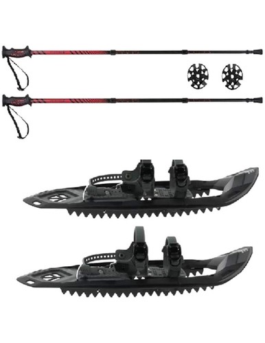 Set elementerre hornet - elementerre,