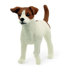 JACK RUSSELL TERRIER animali