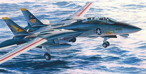 Hasegawa pt46 f14a tomcat - pt46,