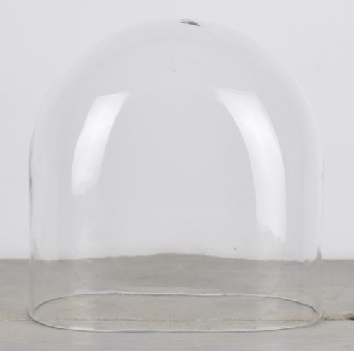 Cupola espositore vetro ovale