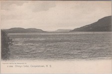 Cartolina rotografica Otsego