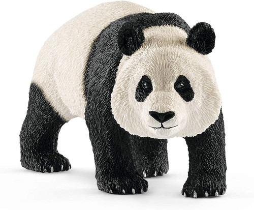 Wild life panda - life, |