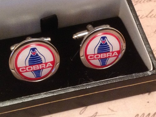 Cobra gemelli argento in - ac,