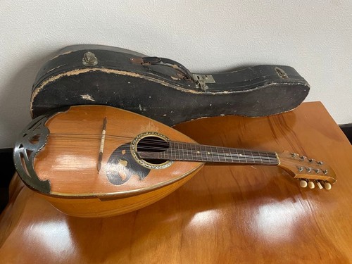 Mandolino suzuki 203 - mandolino,