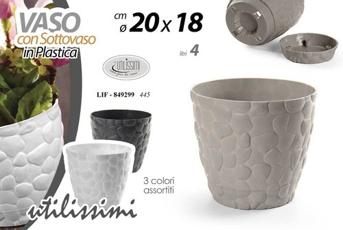 Vaso piante grasse - grasse, semi
