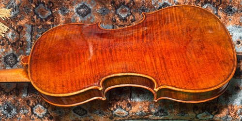 Raro violino - ,