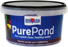 Bermuda puro stagno per