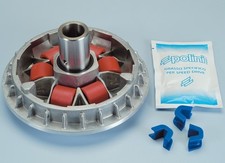 241.627 VARIATORE POLINI