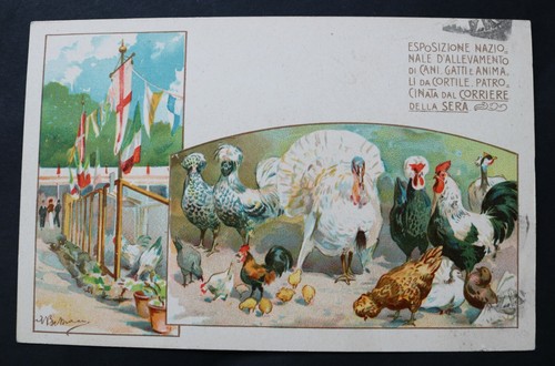 Cartolina esposiz naz - esposiz.,