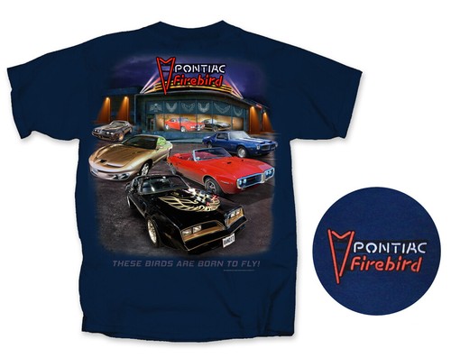 Joe blow pontiac firebird - blow,