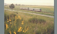 Cosenza Mandatoriccio Treno Fotografia x Cartolina cm 10 x 15