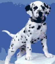 SCHEMA SCHEMI PUNTO CROCE