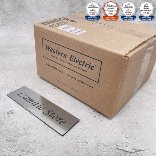 Western electric 300b coppia - electric,