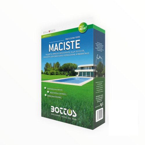 Sementi zollaverde maciste - sementi,