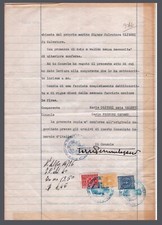 GF0376 Documenti:  Istanza di legittimazione atto Stati Uniti marche consolari