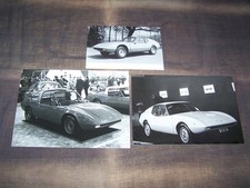 TOPRARITA' Tre foto stampa