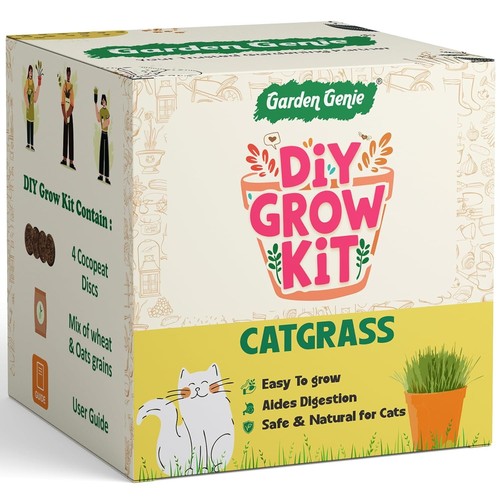 Kit coltivazione erba - kit,