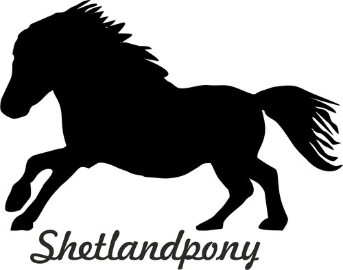 Adesivi auto shetlandpony - 2,