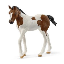 PULEDRO PAINT HORSE cavallo in